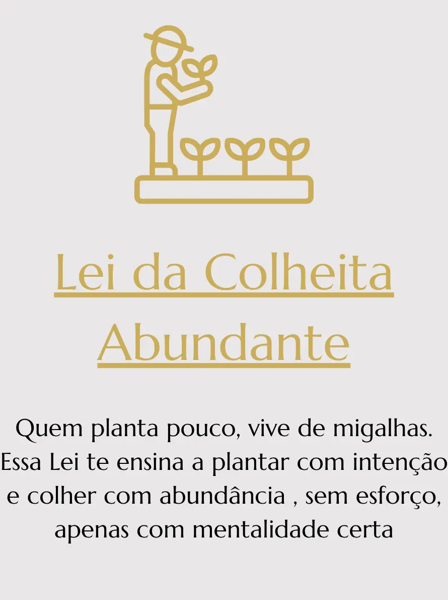 15.webp